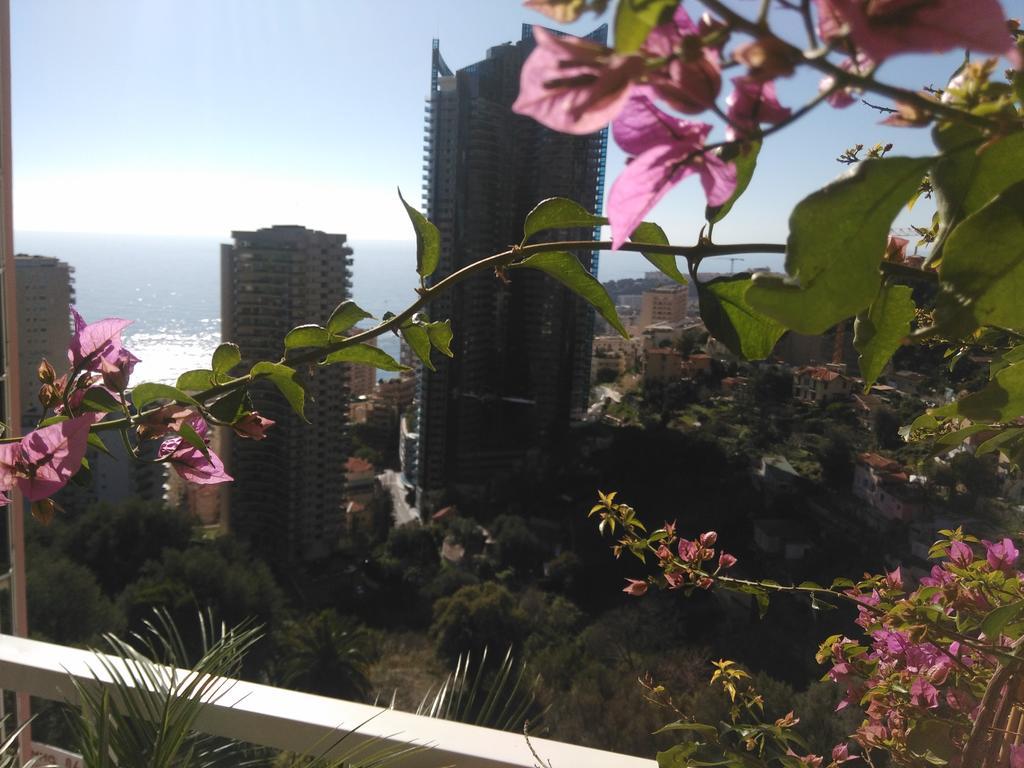 Monaco Pool Sea View Apartments Beausoleil Eksteriør bilde